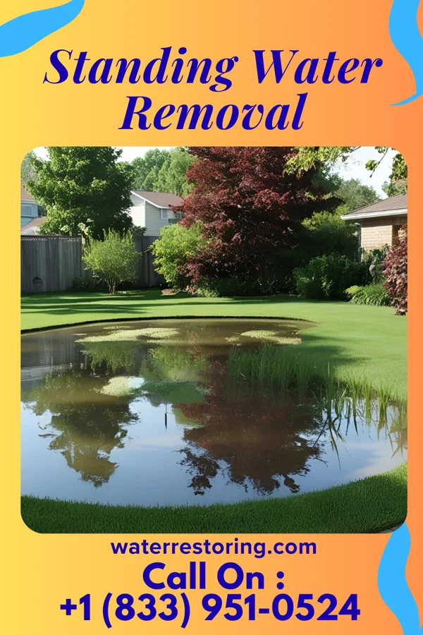 Standing Water Removal in Cleveland, OK